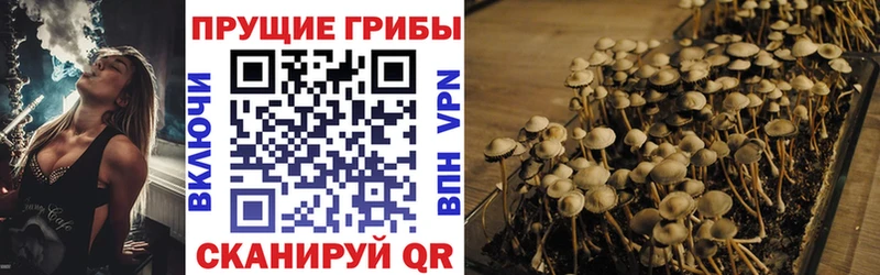 Псилоцибиновые грибы Magic Shrooms  ссылка на мегу ССЫЛКА  Ивантеевка  сколько стоит 