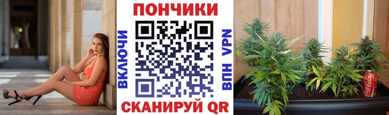 купить наркотик Ивантеевка Канабис сатива
